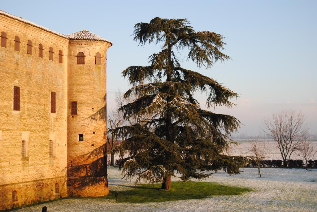 San Pietro in Cerro Locanda Del Re Guerriero الغرفة الصورة